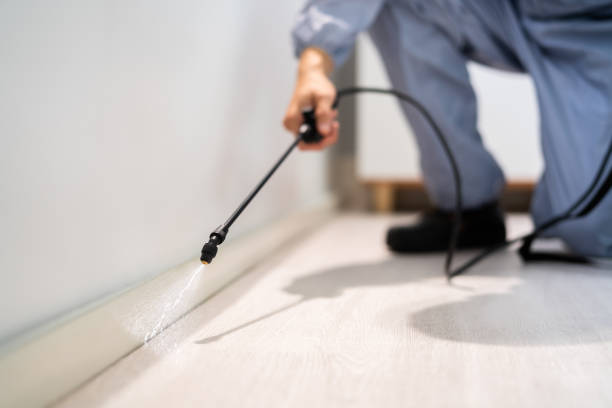 Licensed Pest Control service in Portola Valley, CA - Show Me Pest Control