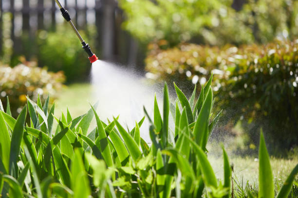 Tamper-Resistant Bait Stations for Rodents in Portola Valley