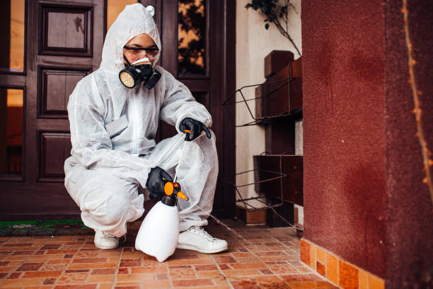 Attic and Crawl Space Rodent Treatment in Portola Valley
