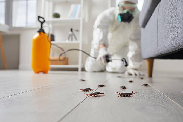 Commercial Rodent Management in Portola Valley